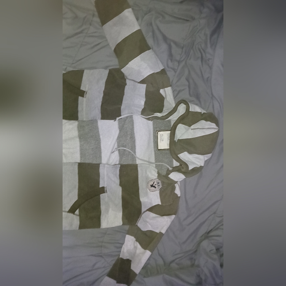 American Eagle Outfitters Olive and Gray Zipup Striped Hoodie